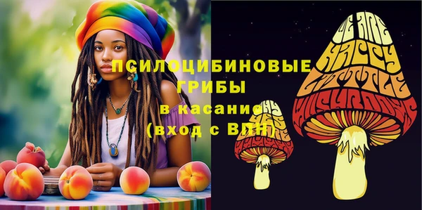 дживик Белоозёрский