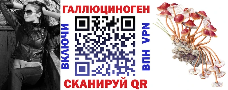 Галлюциногенные грибы Cubensis  Славгород 
